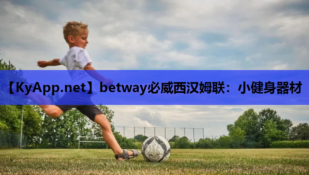 betway必威西汉姆联：小健身器材