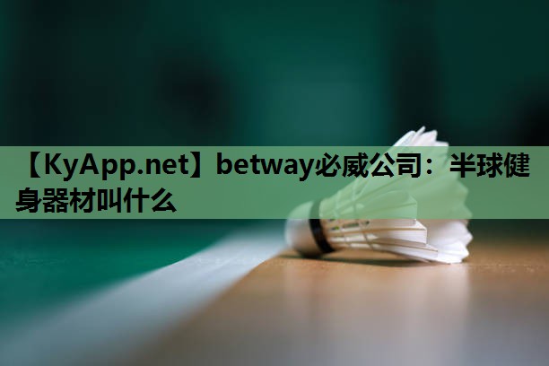 betway必威公司：半球健身器材叫什么