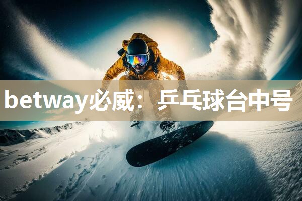 betway必威：乒乓球台中号