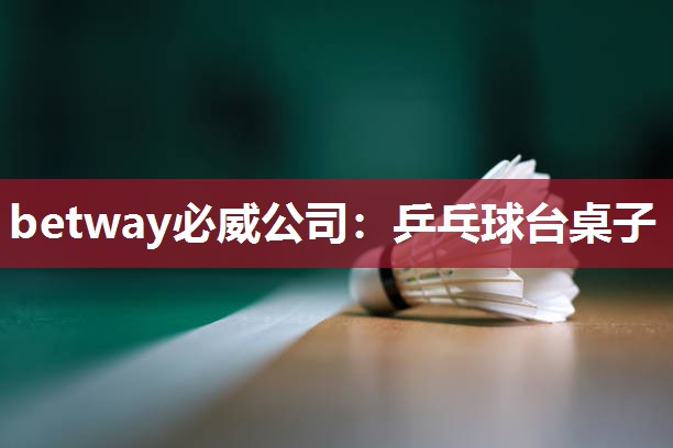 betway必威公司：乒乓球台桌子