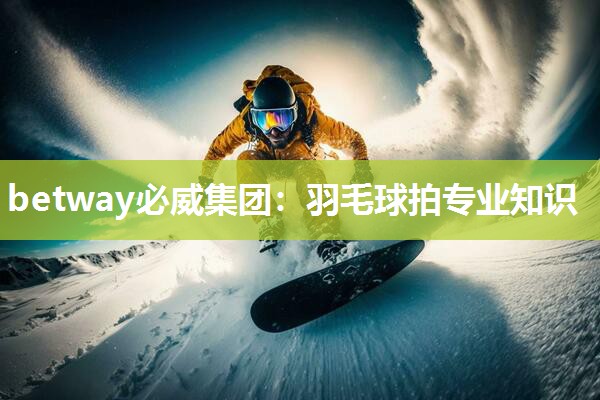 betway必威集团：羽毛球拍专业知识