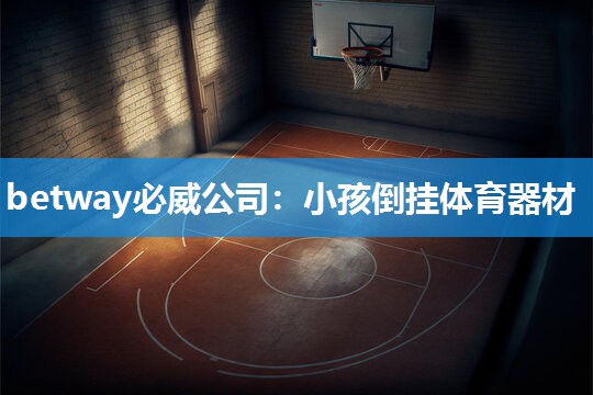 betway必威公司：小孩倒挂体育器材