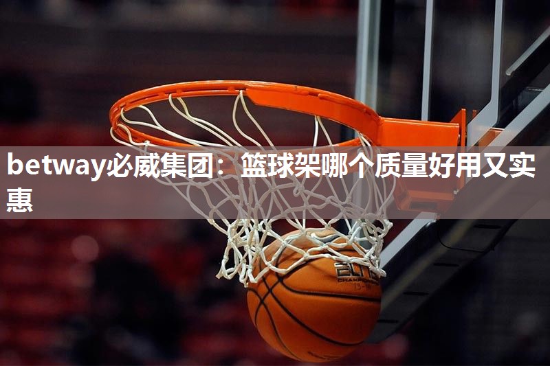 篮球架哪个质量好用又实惠