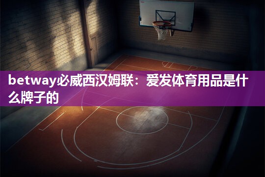 爱发体育用品是什么牌子的